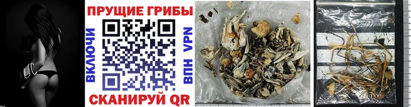 что такое   блэк спрут ТОР  Галлюциногенные грибы MAGIC MUSHROOMS  Кимовск 